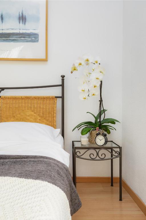 
Deluxe Apartment (2 Adults)
