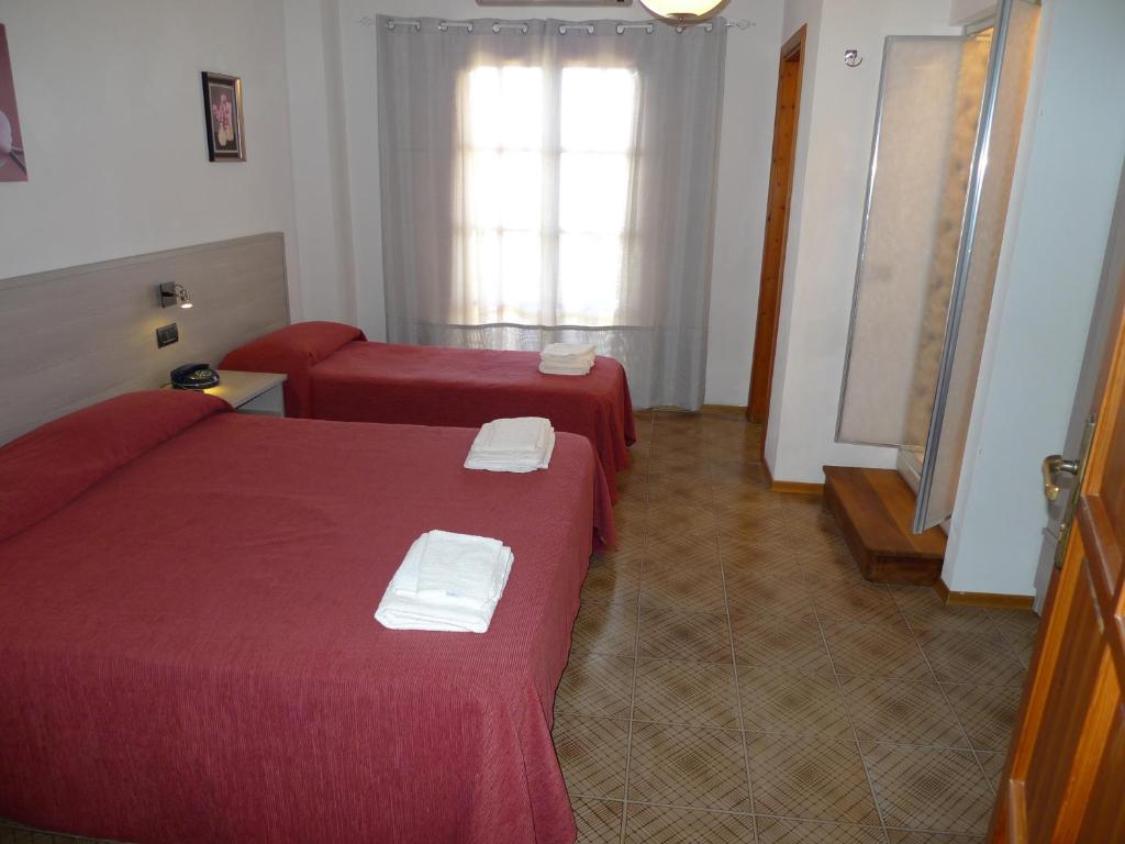 Postel nebo postele na pokoji v ubytování Hotel Alexander