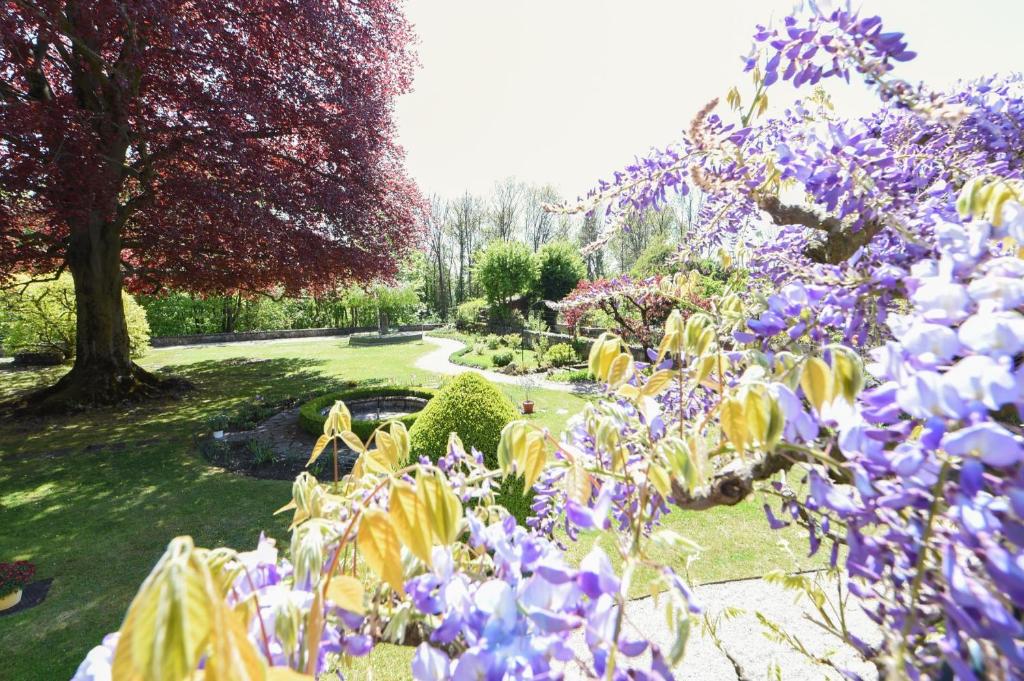 Zahrada ubytování Magnifique maison vigneronne avec grand jardin