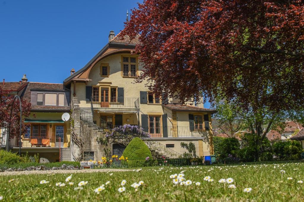 Zahrada ubytování Magnifique maison vigneronne avec grand jardin