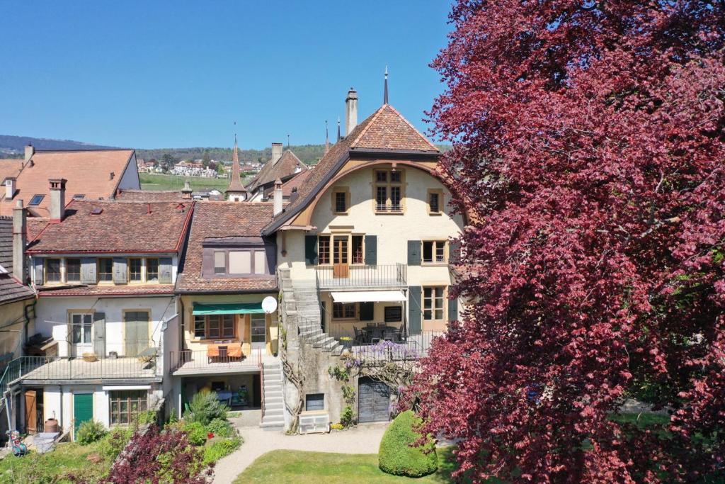 une grande maison blanche avec un arbre rouge dans l'établissement Magnifique maison vigneronne avec grand jardin, à Auvernier