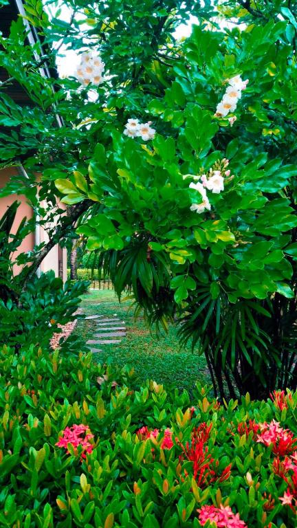 a garden with pink and white flowers and trees at Family-friendly house, a few steps from the pool and close to the ocean. in Mae Pim