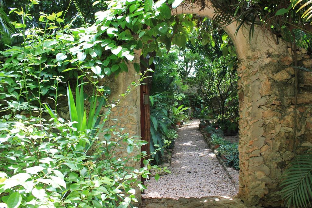 Zahrada ubytování Casa Quetzal Hotel