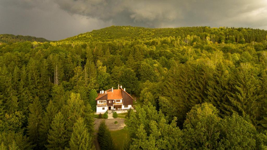 Vue aérienne d'une maison au milieu d'une forêt dans l'établissement Kormos Residence, à Brăduţ