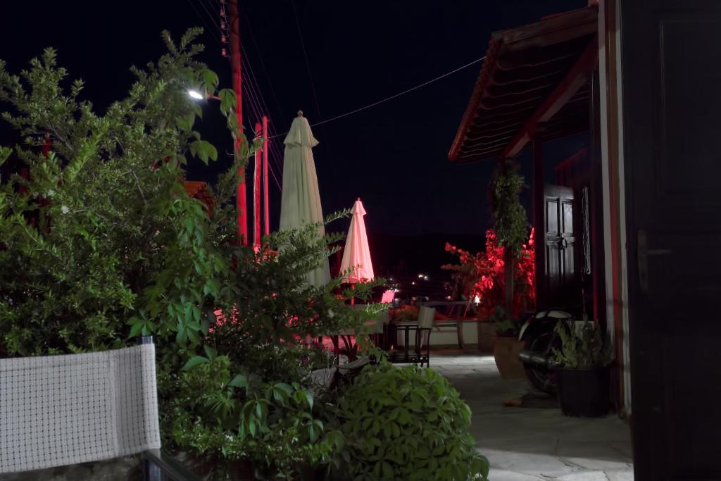 Κήπος έξω από το Art Hotel Panorama