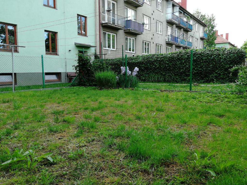 Zahrada ubytování Ateliér sklep