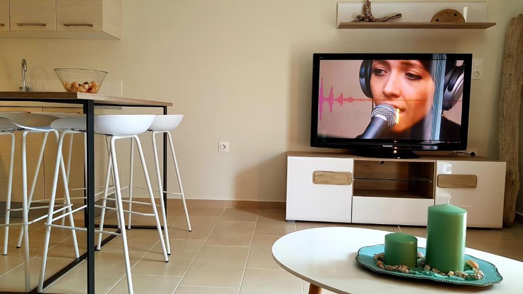 Televízia a/alebo spoločenská miestnosť v ubytovaní CELENI APARTMENTS