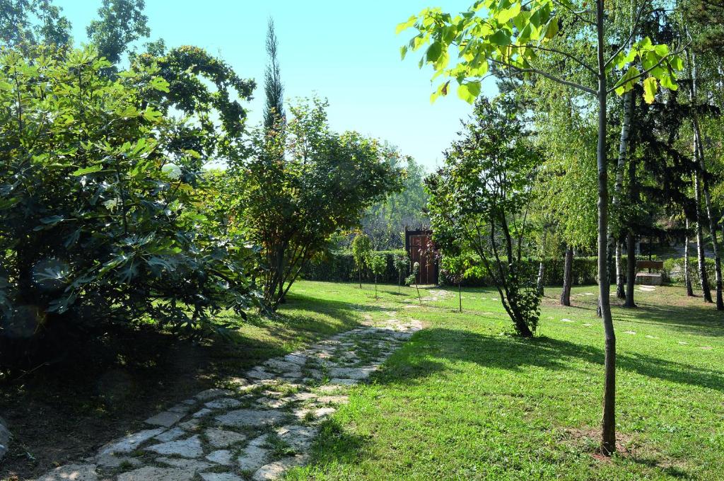 Zahrada ubytování Vila Davidovic-Fruska gora