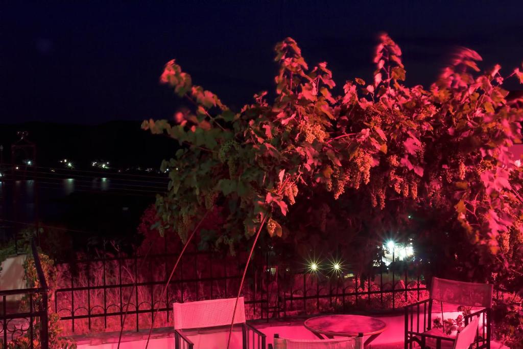 Φωτογραφία από το άλμπουμ του Art Hotel Panorama στα Πυργαδίκια