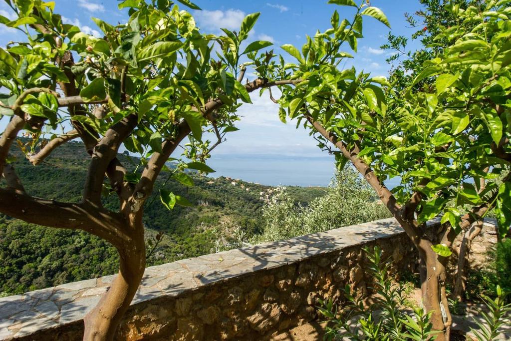 a view of the mountains from behind two trees at Breathtaking Sea View, Close To The Beach in Kalamata