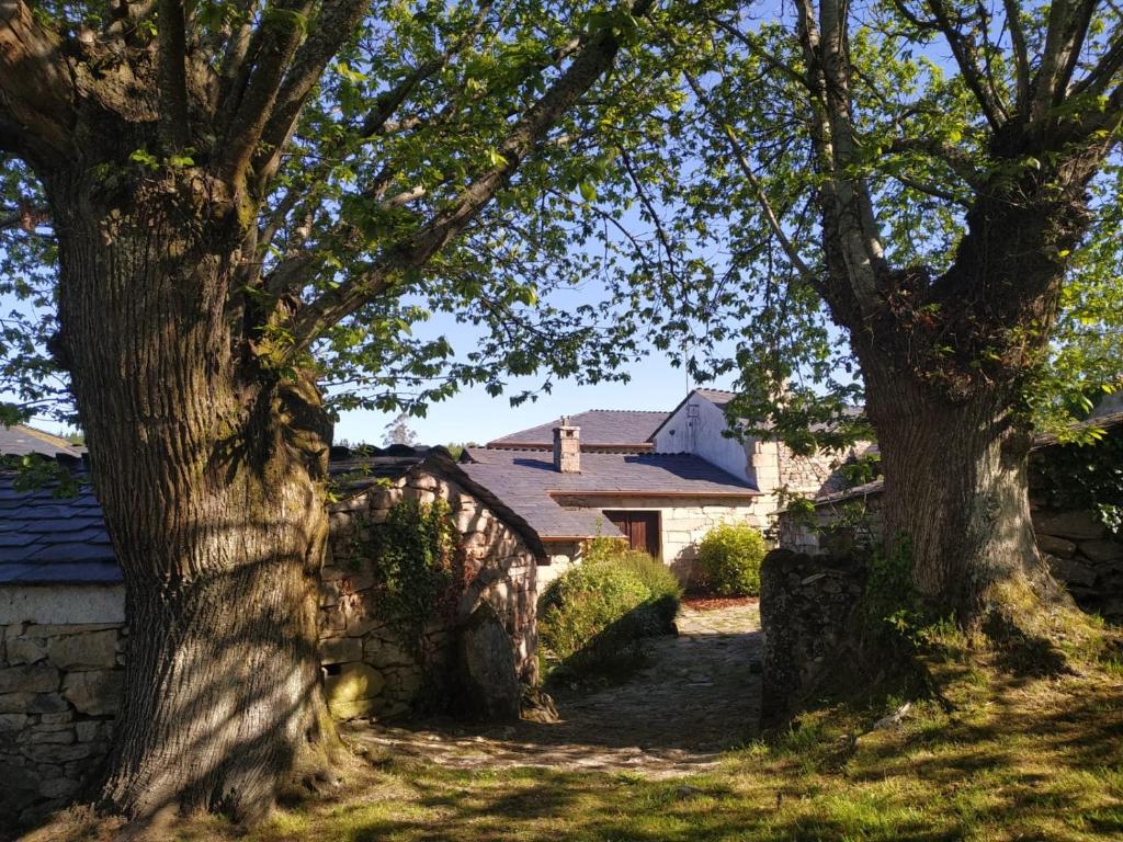 A garden outside Casa Roan y Casa Grande