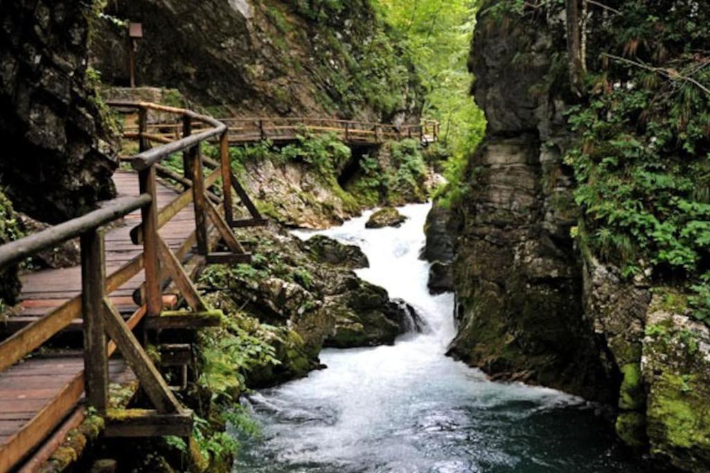 Příroda nedaleko apartmánu
