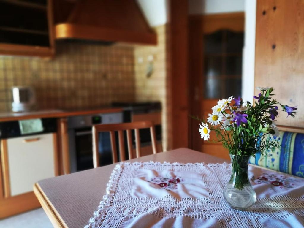 Kuchyň nebo kuchyňský kout v ubytování Guesthouse Schoba Typ D