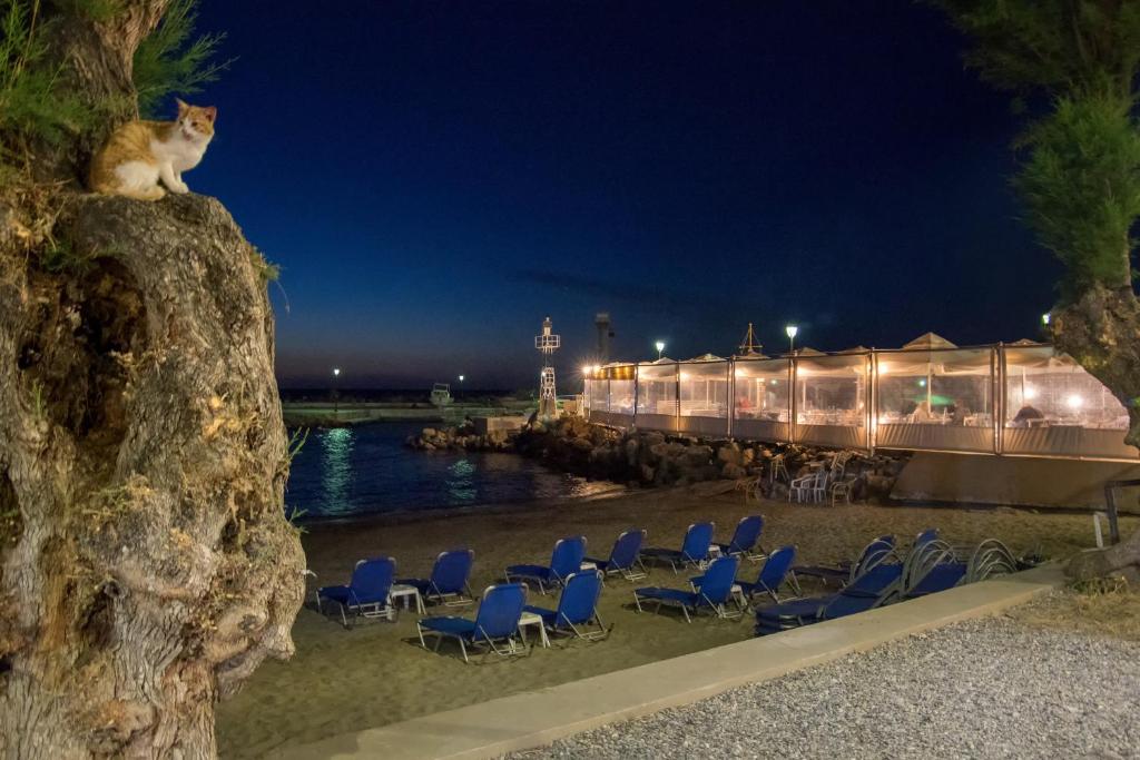 Fougaro Apartments - Resim 28