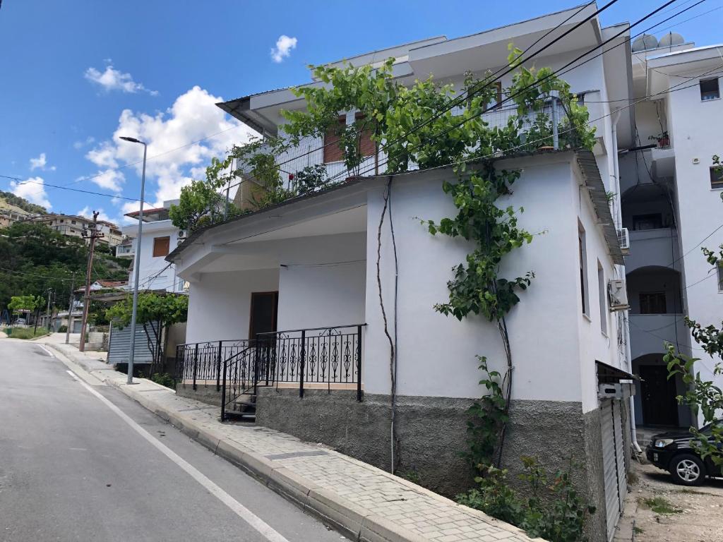 a white building with plants on the side of it at Room Click inn in Gjirokastër