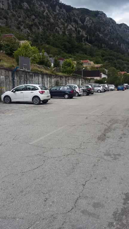 Apartments Krivokapic - 14