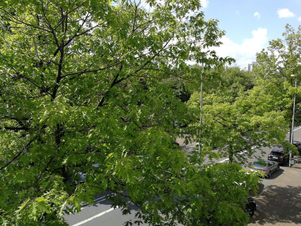 2-Zimmer Apartment Sofia, gemütlich wie zu Hause - Appartement D'une Chambre