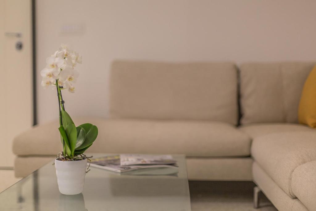 Ca' Rossini 1 - Two-Bedroom Apartment