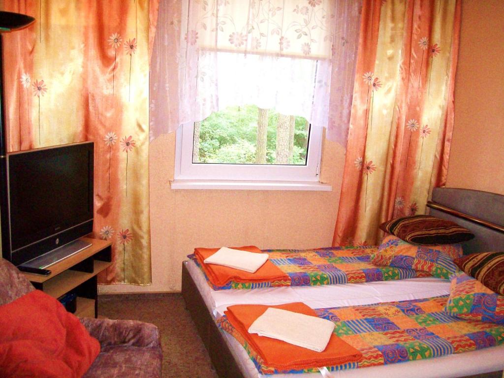 OŚRODEK WYPOCZYNKOWY OAZA - Deluxe Double Room With Shower