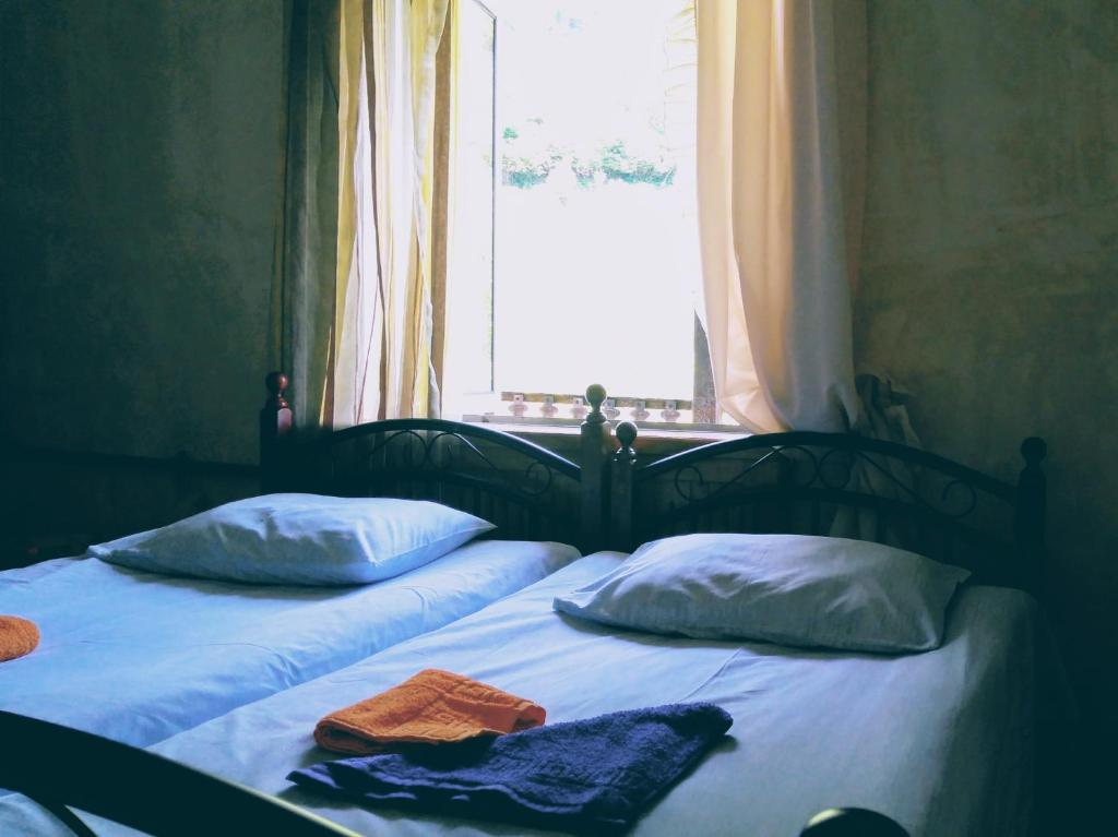 Discover Kinchkha - Twin Room With Mountain View