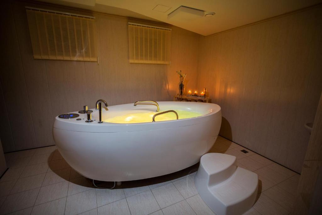 Zámek Lužec Spa & Wellness Resort - Resim 2
