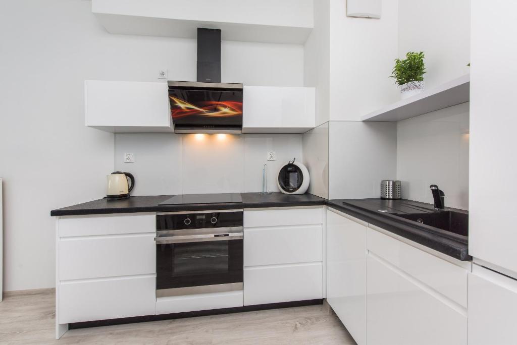 Kuchyňa alebo kuchynka v ubytovaní APARTAMENT NIKOLA