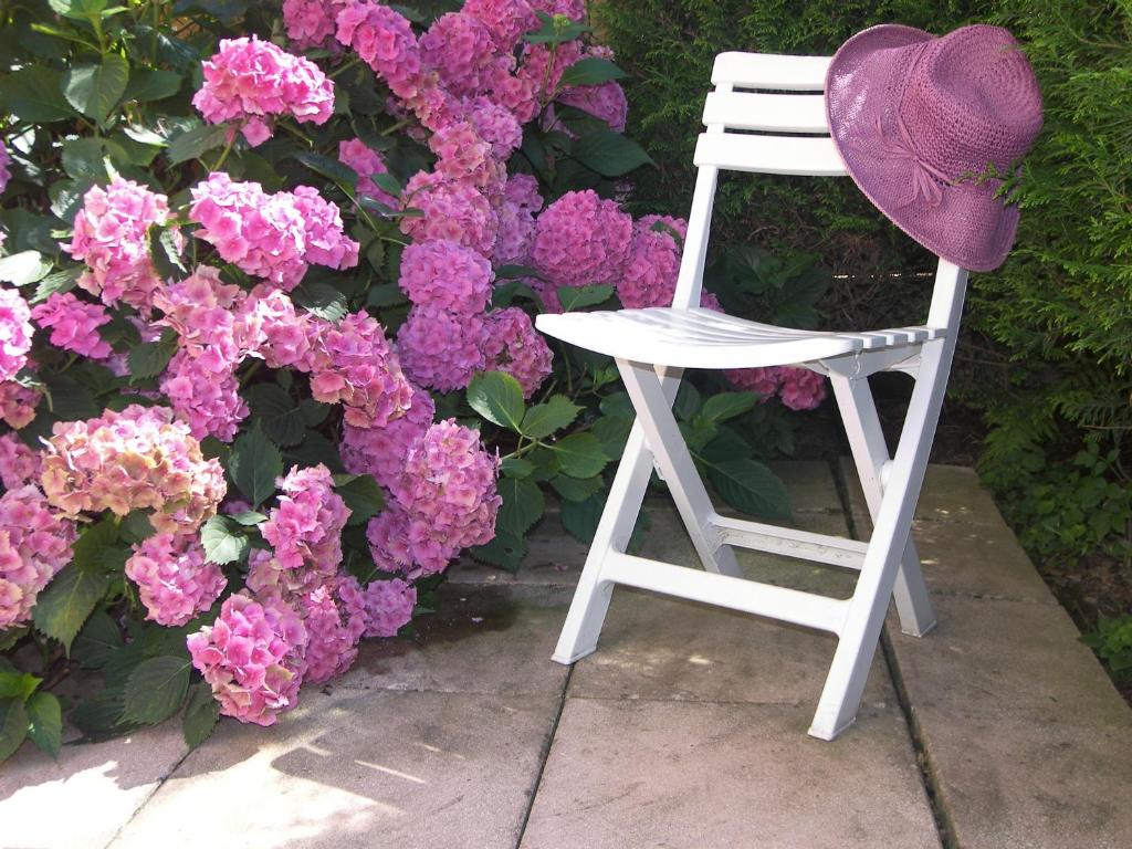 une chaise blanche avec un chapeau assis à côté des fleurs roses dans l'établissement LES HORTENSIAS, à Sainte-Marie-aux-Mines