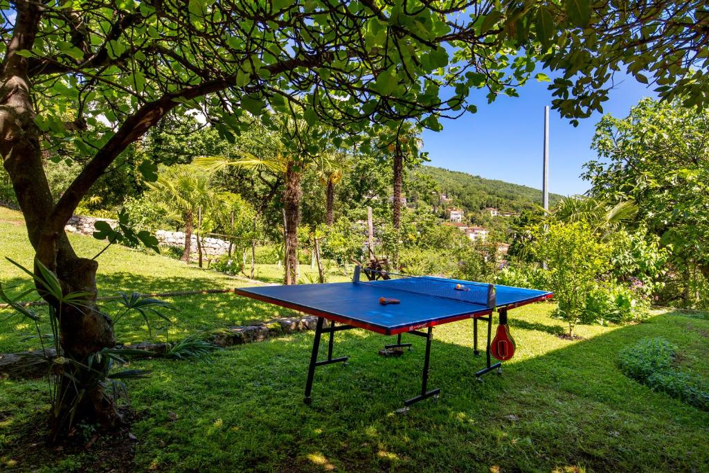 Stolný tenis v ubytovaní Family House Sara alebo v jeho okolí