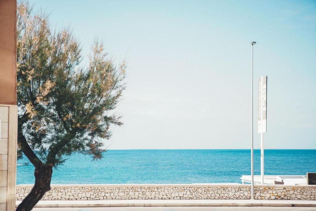 a tree in front of the ocean at Terradamare in Monopoli