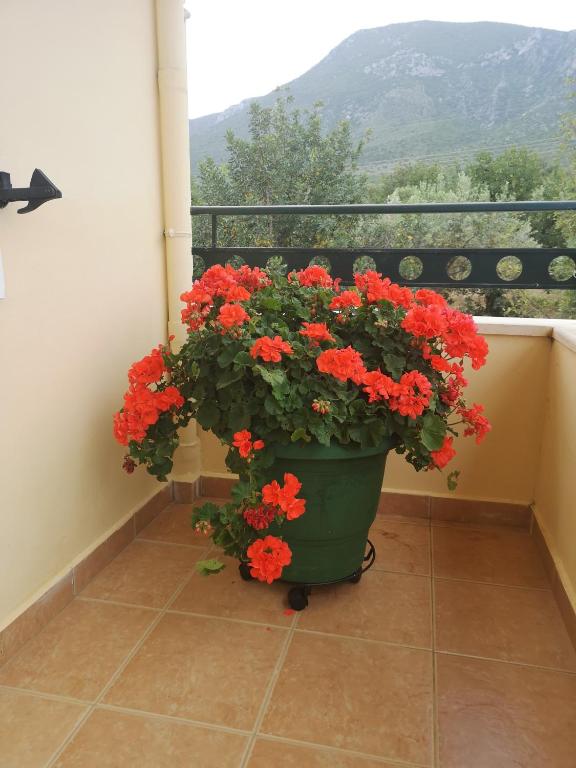Nespecifikovaný výhled na hory nebo výhled na hory při pohledu z aparthotelu