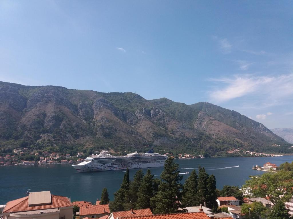 un navire de croisière dans une grande étendue d'eau avec des montagnes dans l'établissement Apartments Peranovic, à Kotor