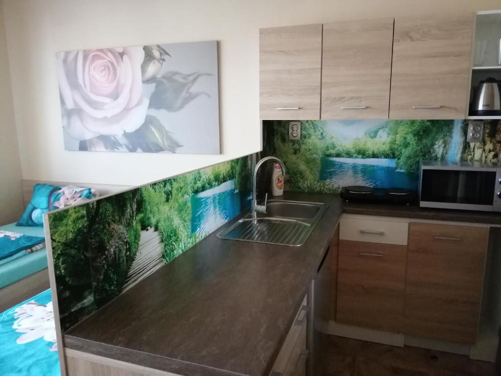 Kuchyň nebo kuchyňský kout v ubytování Ubytovani PASO na Palave