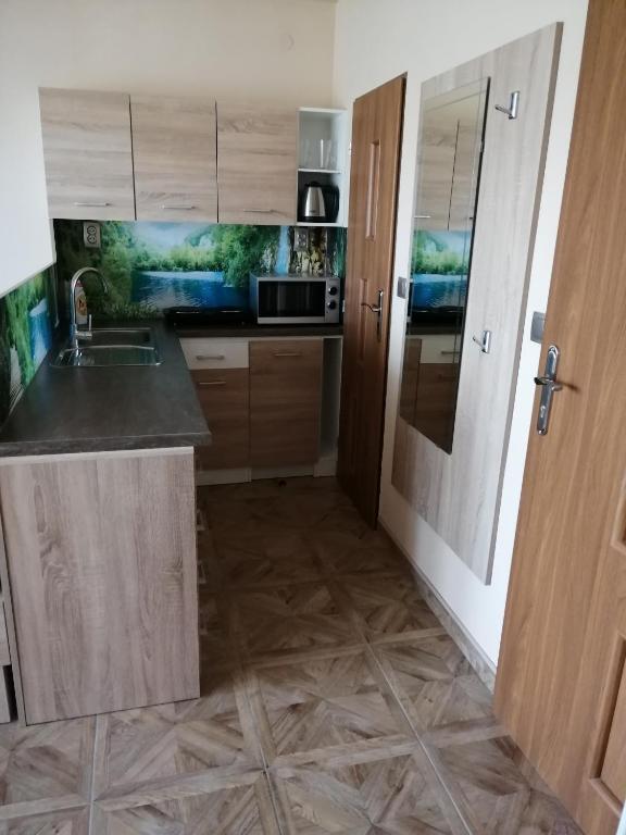 Kuchyň nebo kuchyňský kout v ubytování Ubytovani PASO na Palave