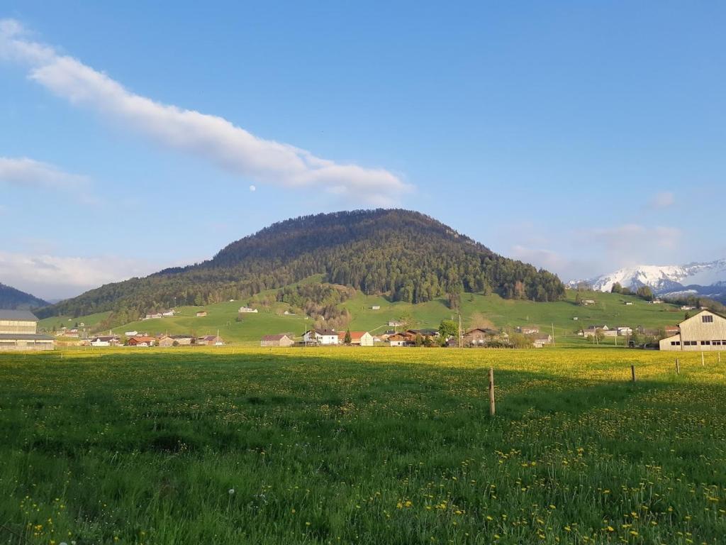 Táj az apartman közelében