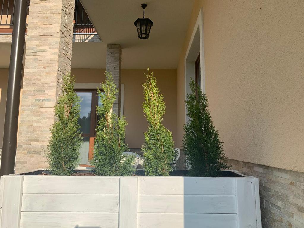 Zlote Modrzewie - Appartement