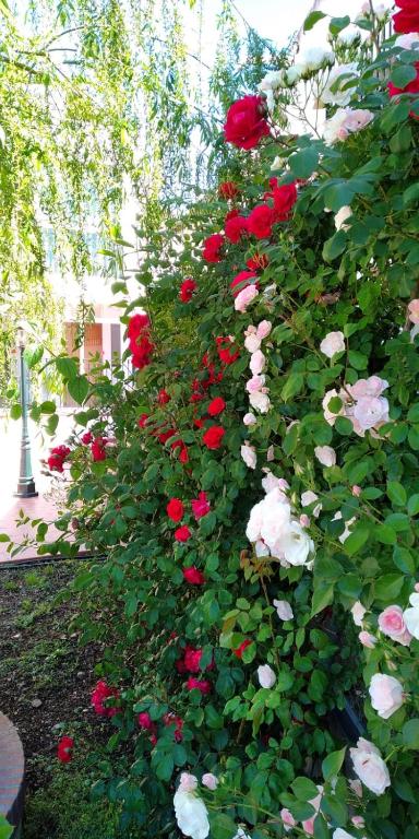 Derechos de imagen reservados por Booking.com