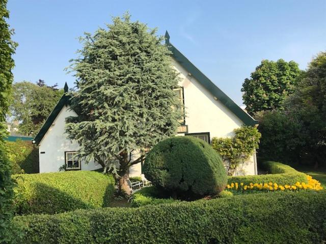 a house with a tree in front of it at Vlasoven loft in Noordwijkerhout