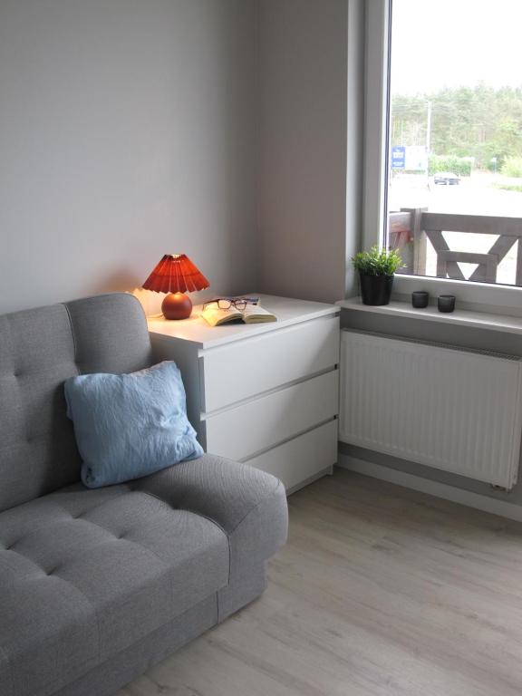 a living room with a couch and a table with a lamp at Apartament Mierzeja in Sztutowo