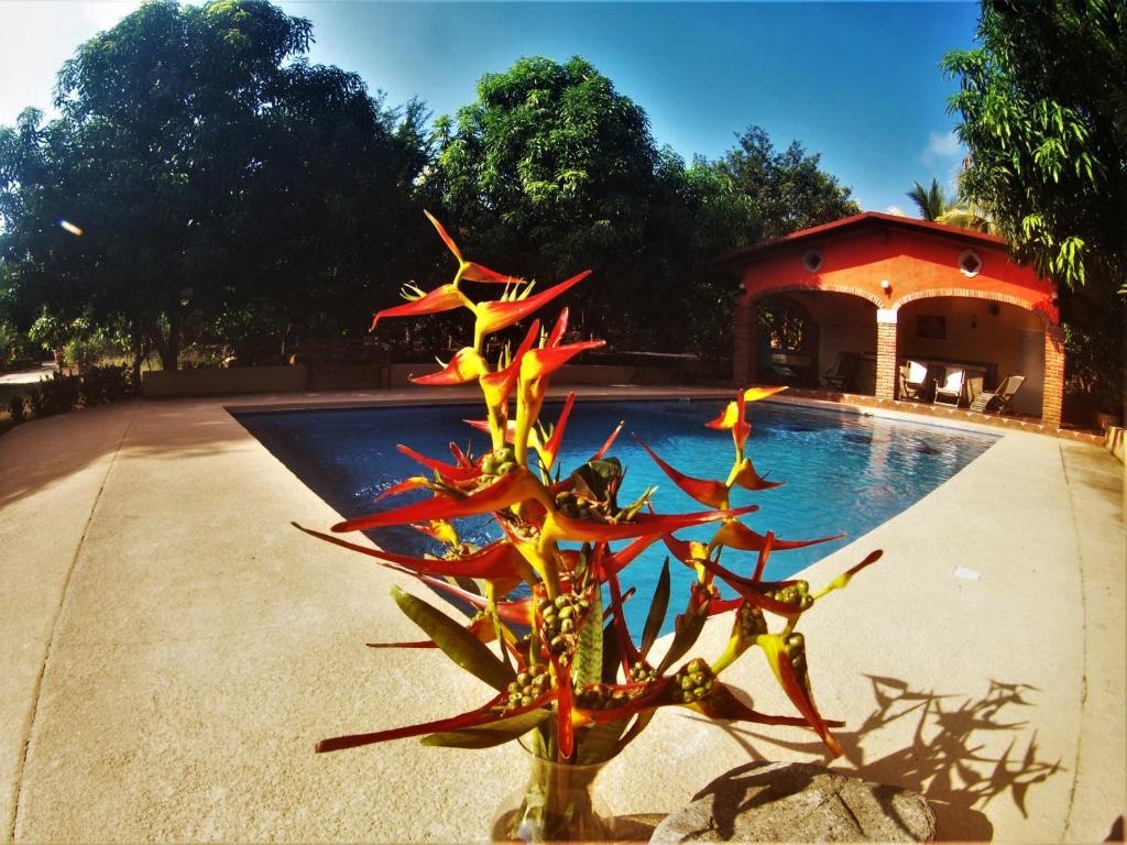 Swimming pool sa o malapit sa Quinta Comala Hotel & Villas