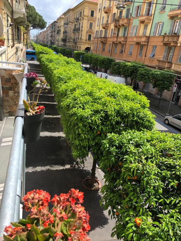 Giardino di ARI Guest house