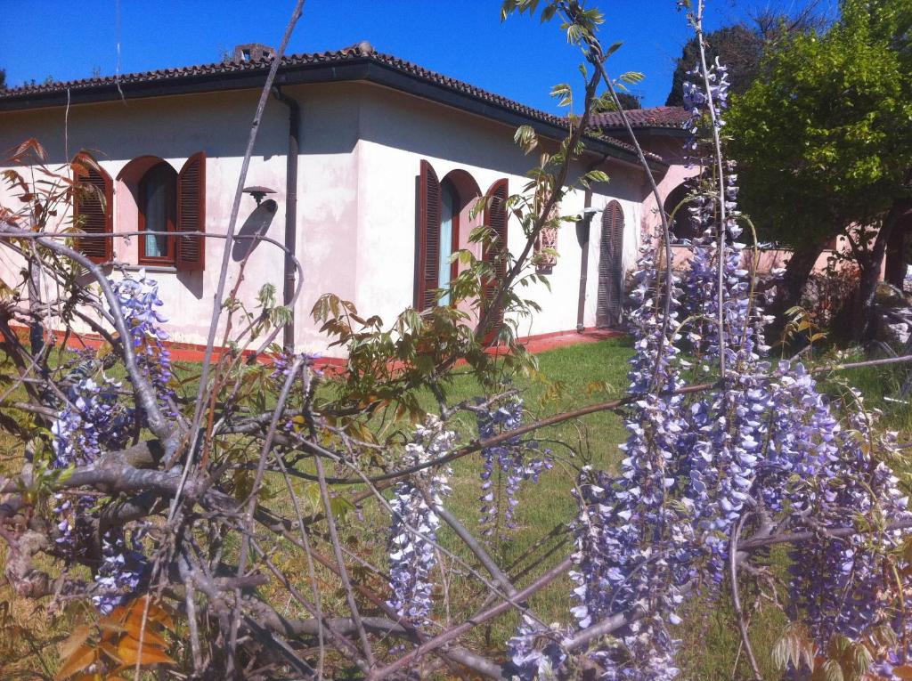 Zdjęcie z galerii obiektu Town & Country Guest House B&B w mieście Sassari