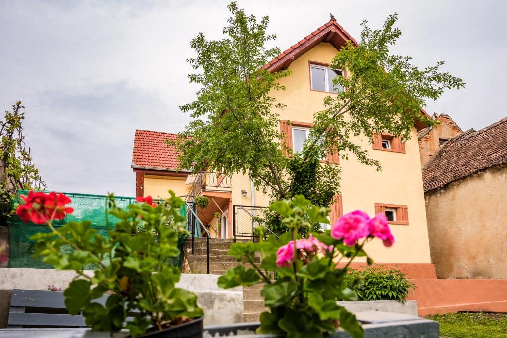 Κήπος έξω από το Gabi's Home #1