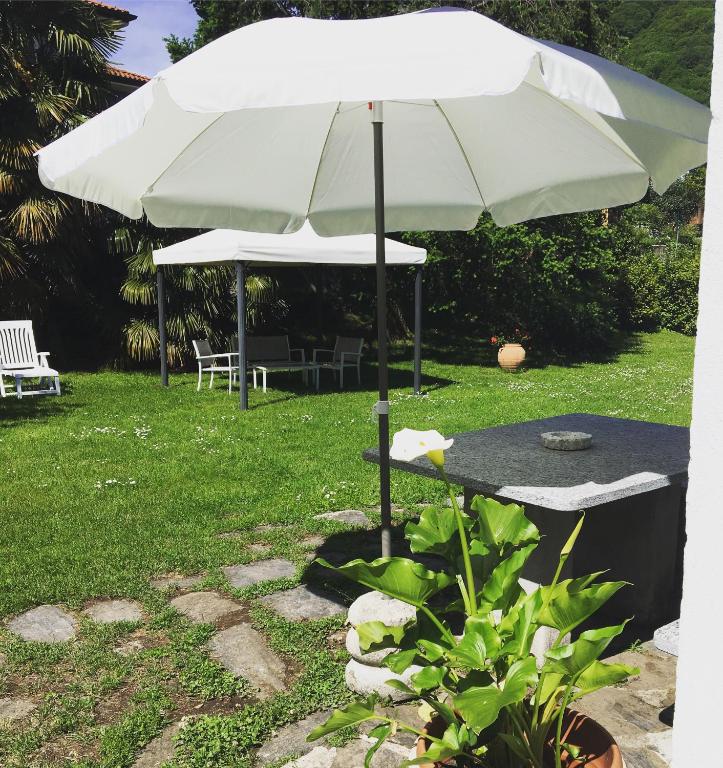 Zahrada ubytování B&B Azalea