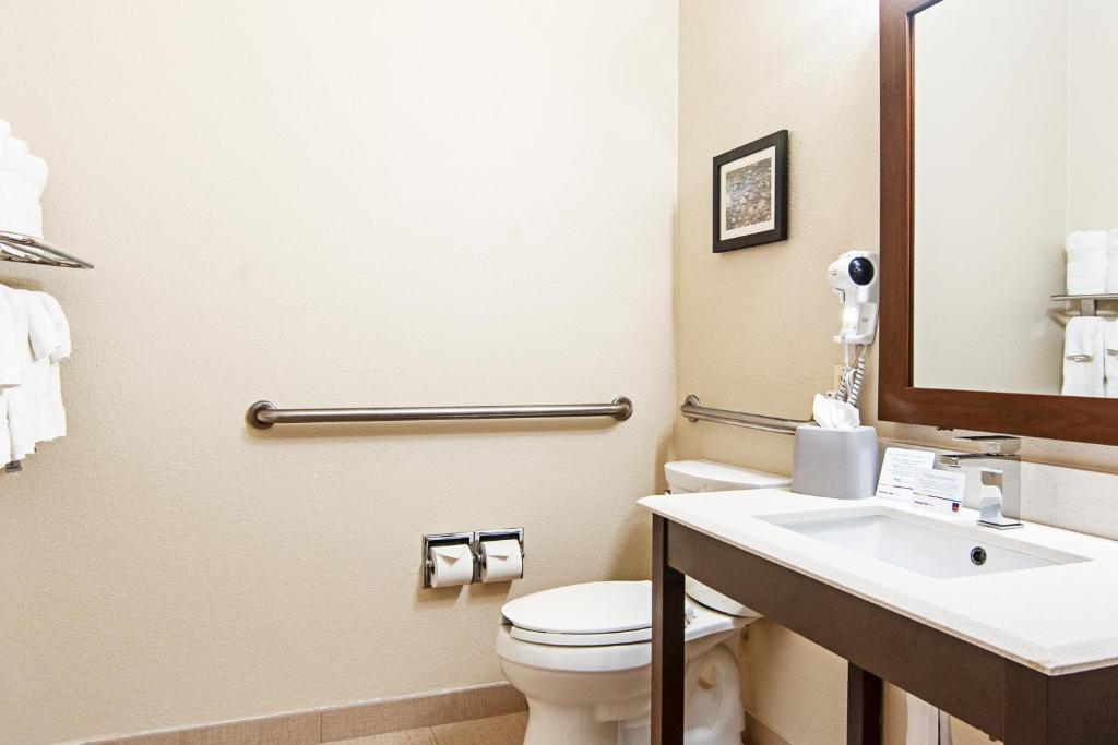 Comfort Suites NW Dallas Near Love Field - King Suite - Accès Aux Invalidité / Non-fumeur