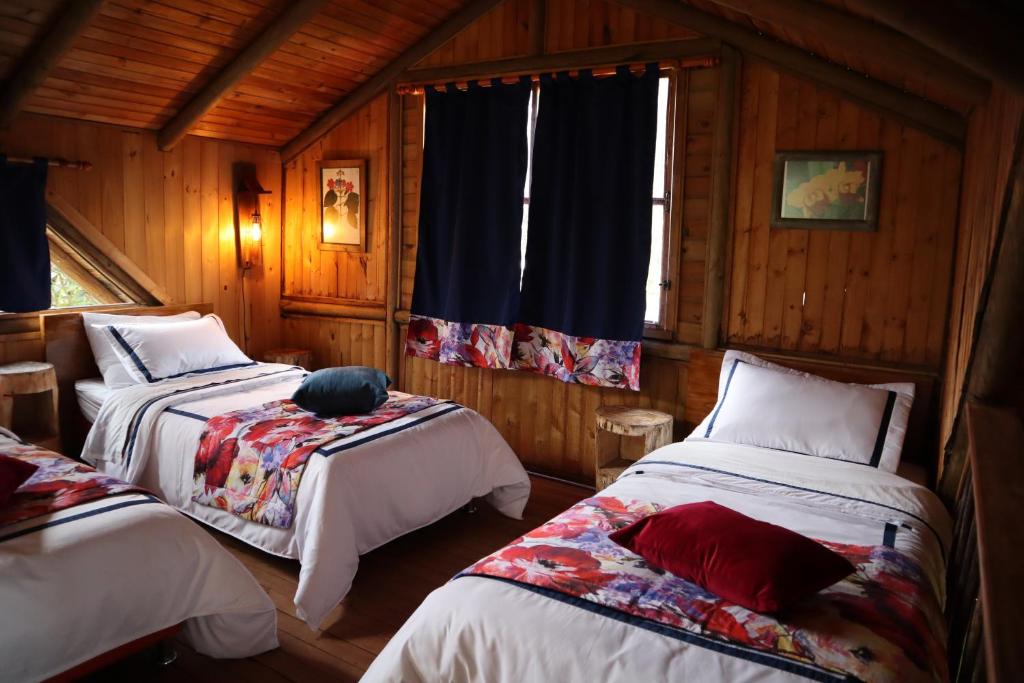 a bedroom with two beds and a window at Palmas de Cocora in Salento