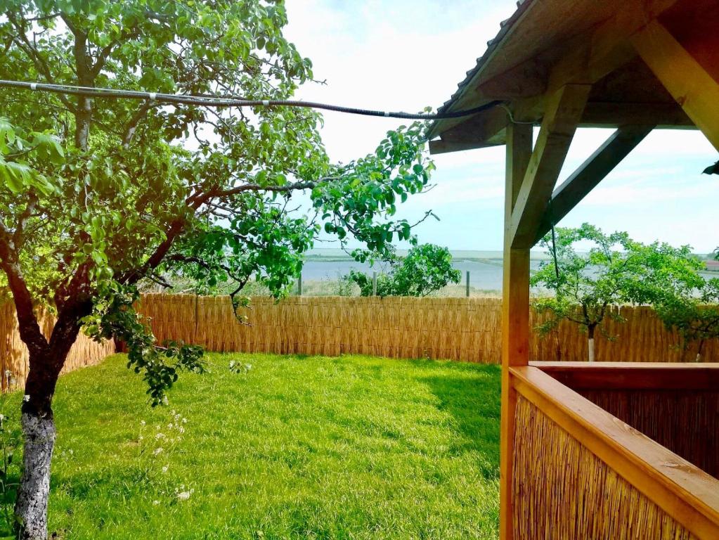 Příroda nedaleko penzionu