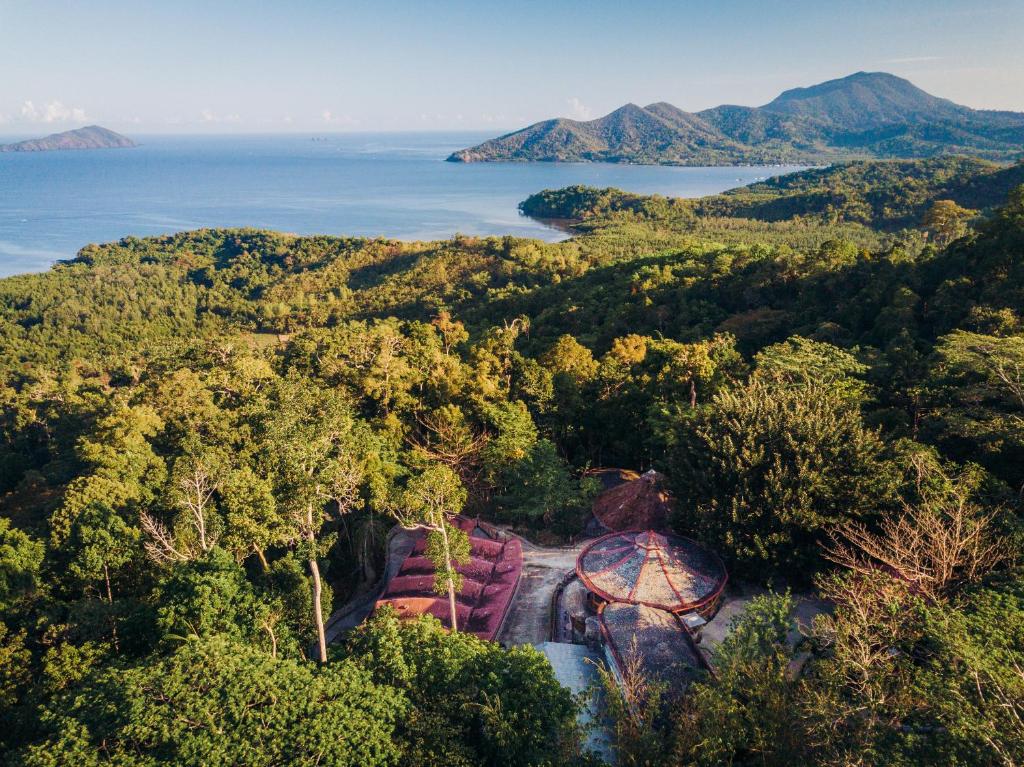 an aerial view of a forest and the ocean at Atremaru Jungle Retreat in Puerto Princesa City