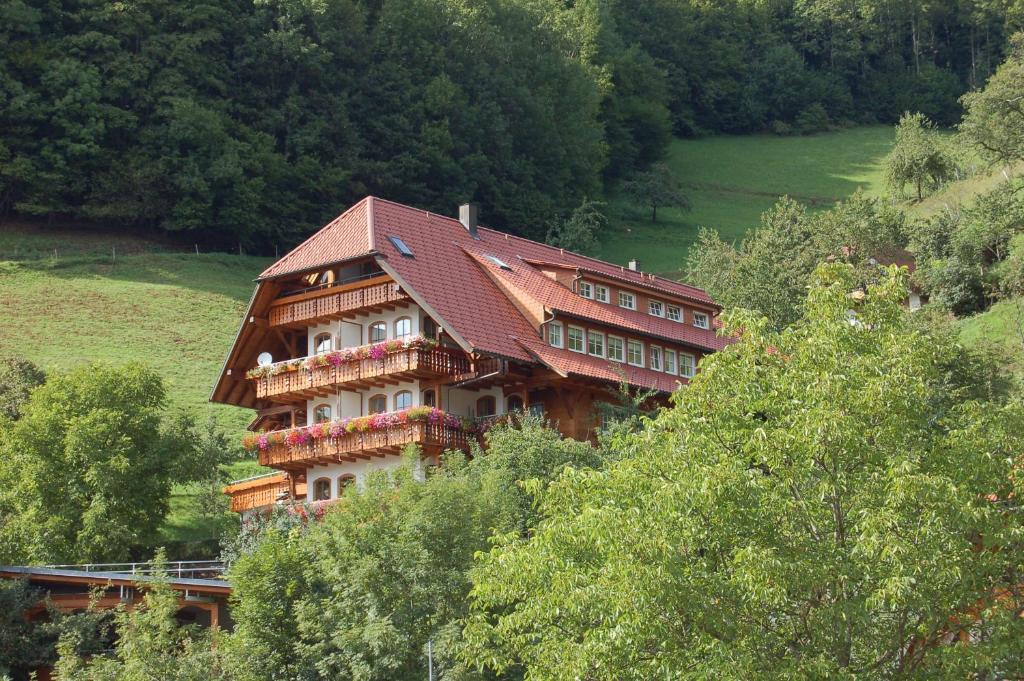 Ehrenmättlehof Faißt - Apartamento De Una Habitación E11