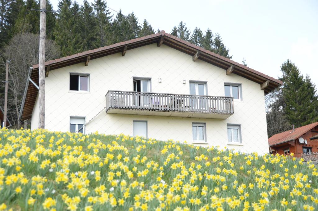 Chalet du Tremplin