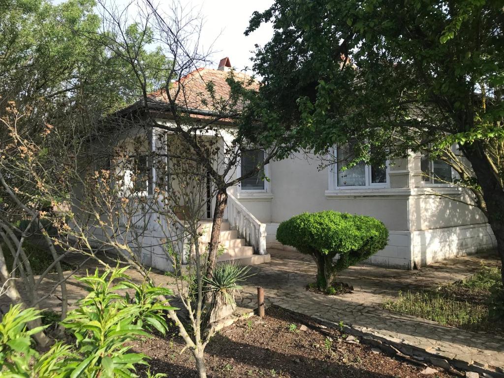 Ezerets的住宿－Guest House Mimi，前面有一棵树的白色房子